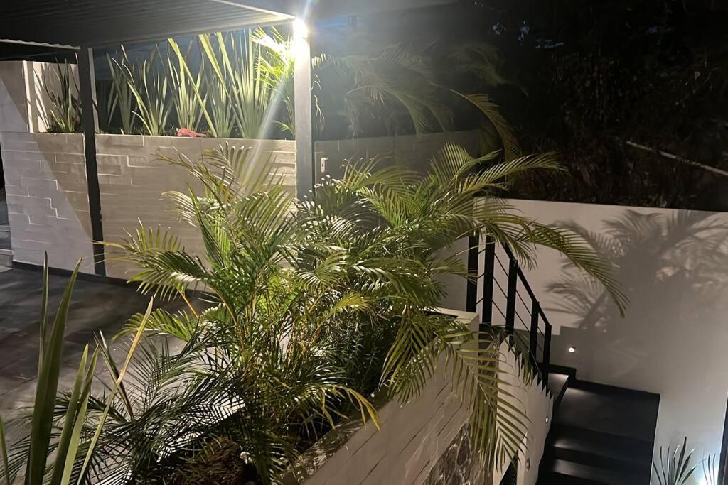 Residencia Corinto La Cima Frac Burgos Bugambilias Villa Temixco Exterior foto